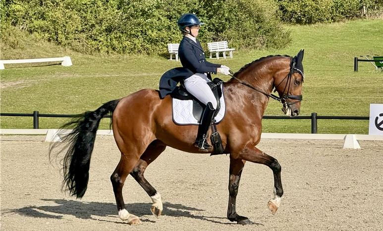 Dansk Sports Ponyavl på SAO
